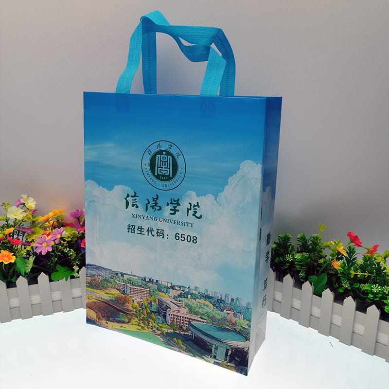 無(wú)紡布手提袋廠家訂制